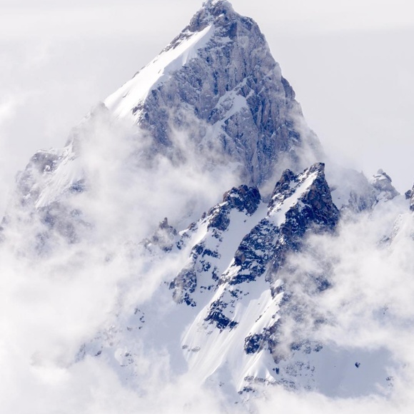 Meet your Posher, Zach - Picture 1 of 1